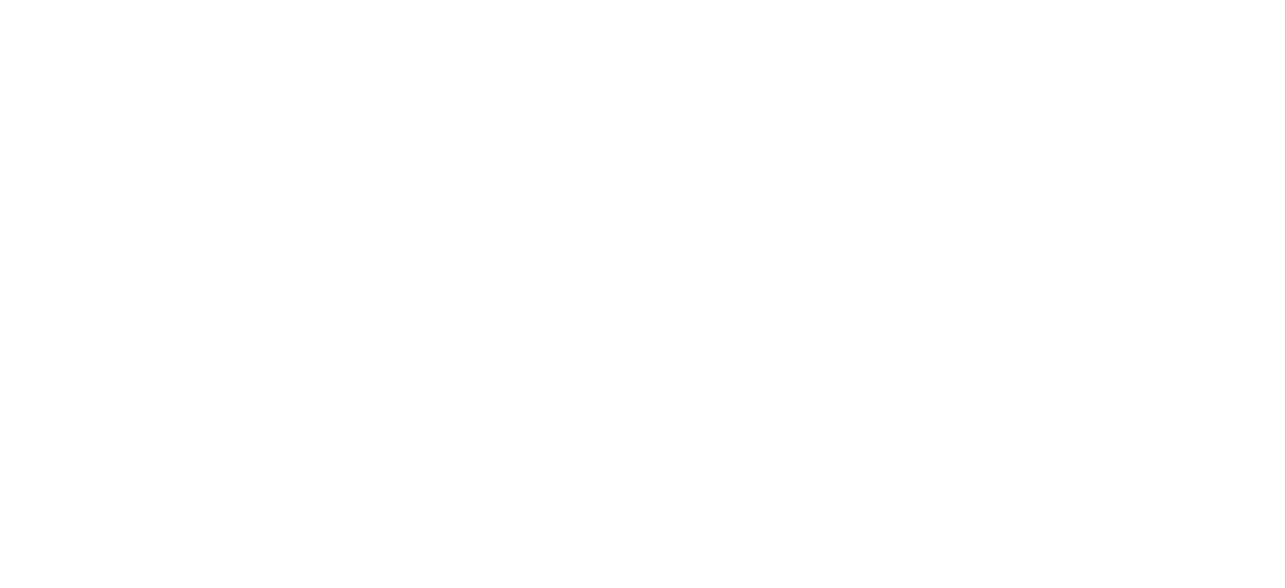 Visegrad Fund Logo